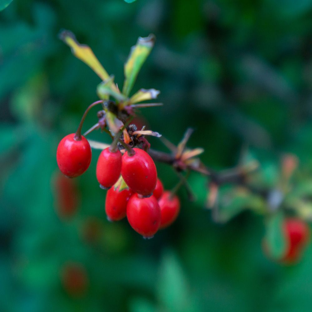 Photograph by Роман Шаров