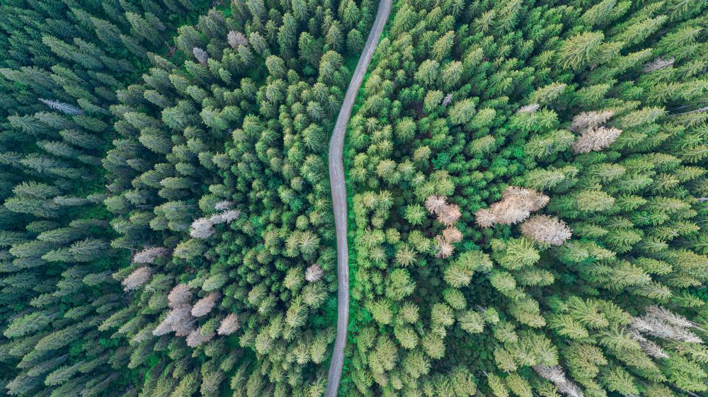 Photograph by George Alexandru Ghiuro