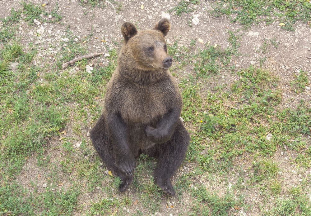 Photograph by Светлана Мельник