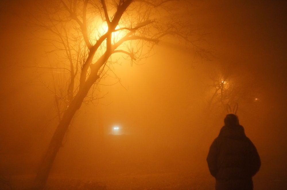 Fog
