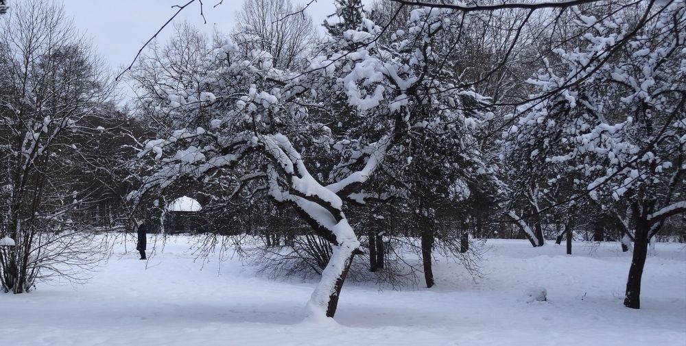 Photograph by Людмила Муравьева