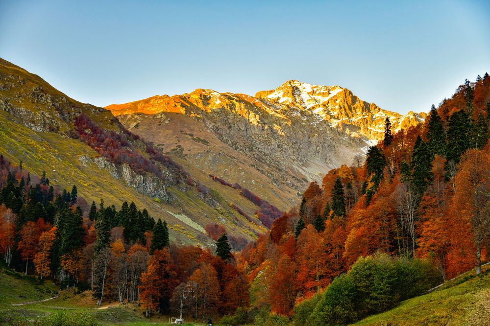 Photograph by Олег Корешонков