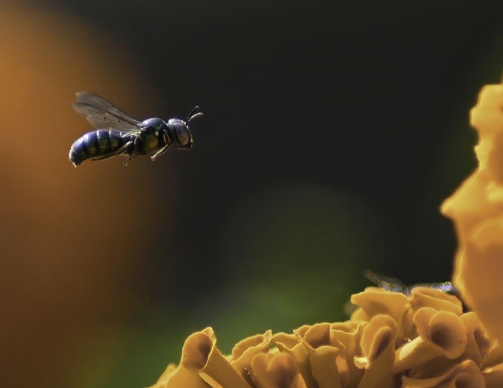 Photograph by Abhishek Manna