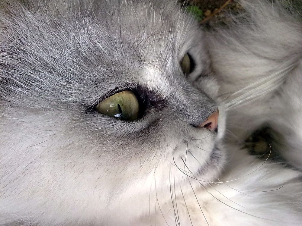 Photograph by Стаскевич Татьяна