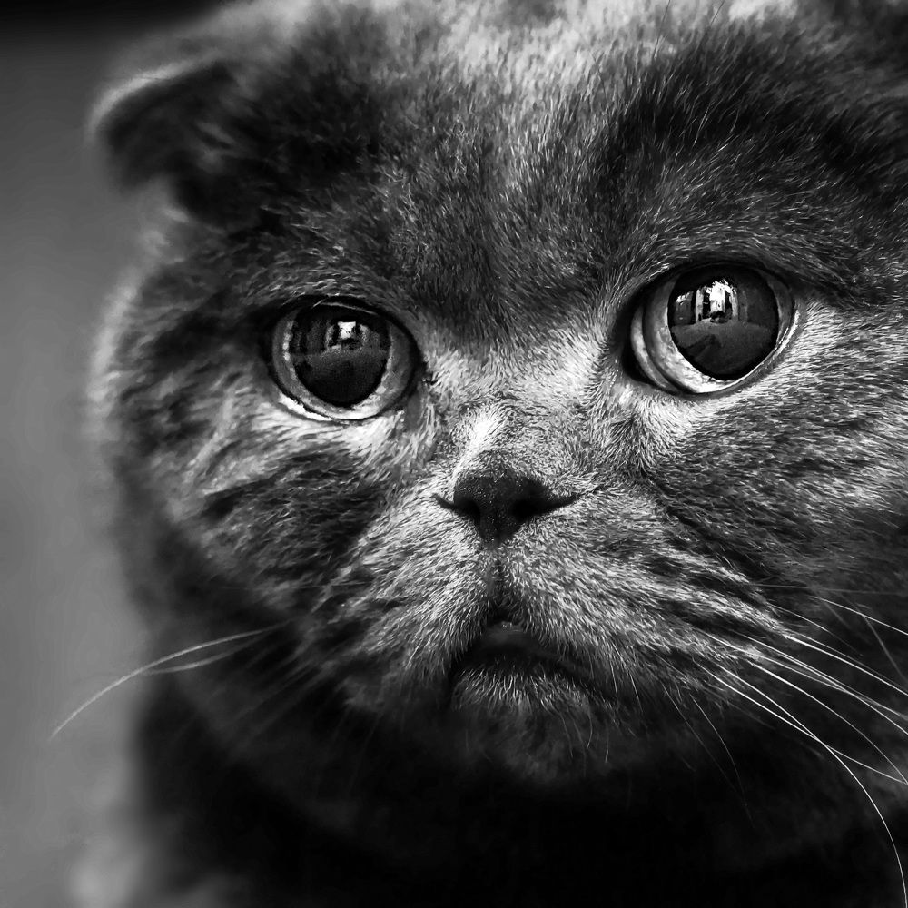 Photograph by Евгений Жиляев