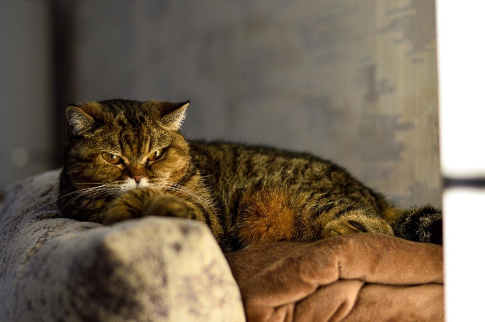 Photograph by Елена Квасова