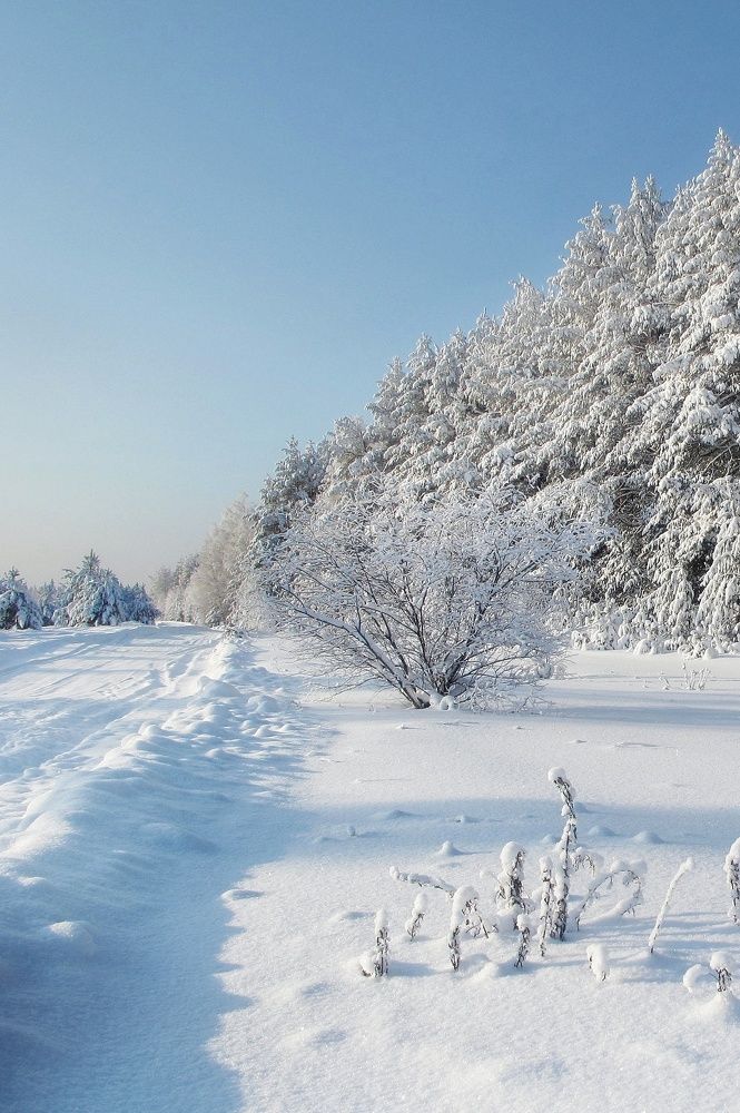 Фотография автора Тамара Караваева