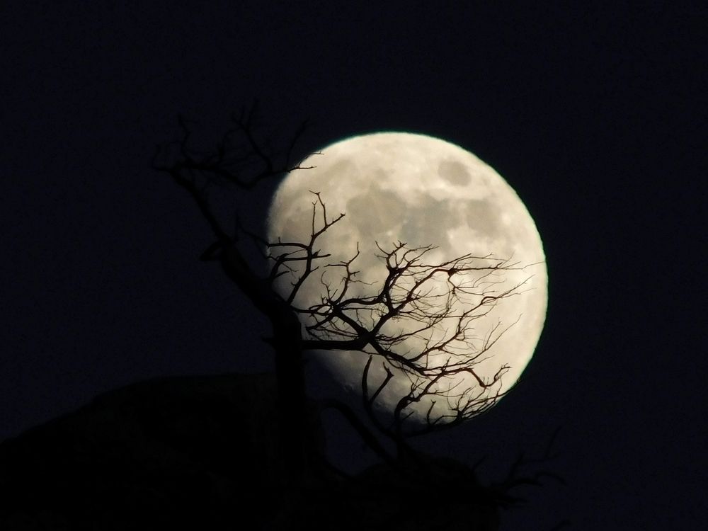 Photograph by Илья