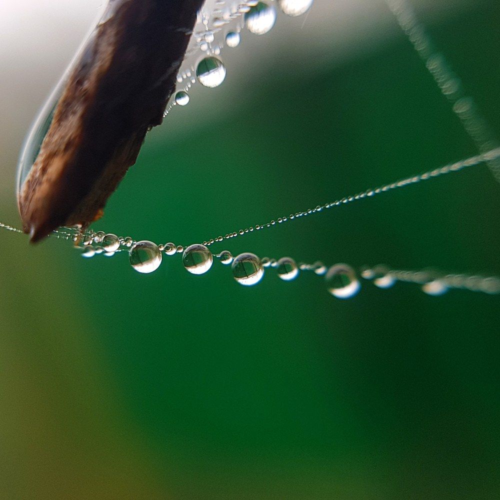 Photograph by Хачик Аджатян