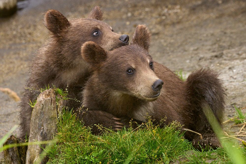 Photograph by Mikhaylov Mikhail