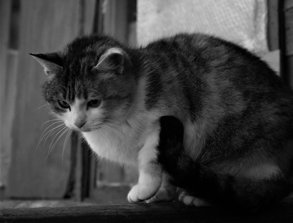 Photograph by Татьяна Смирнова