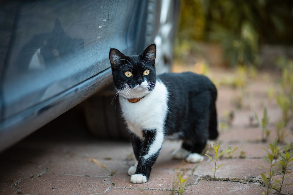 Photograph by Алексей Сентюрин