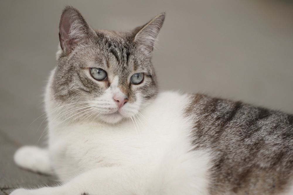 Photograph by Марина Аникина