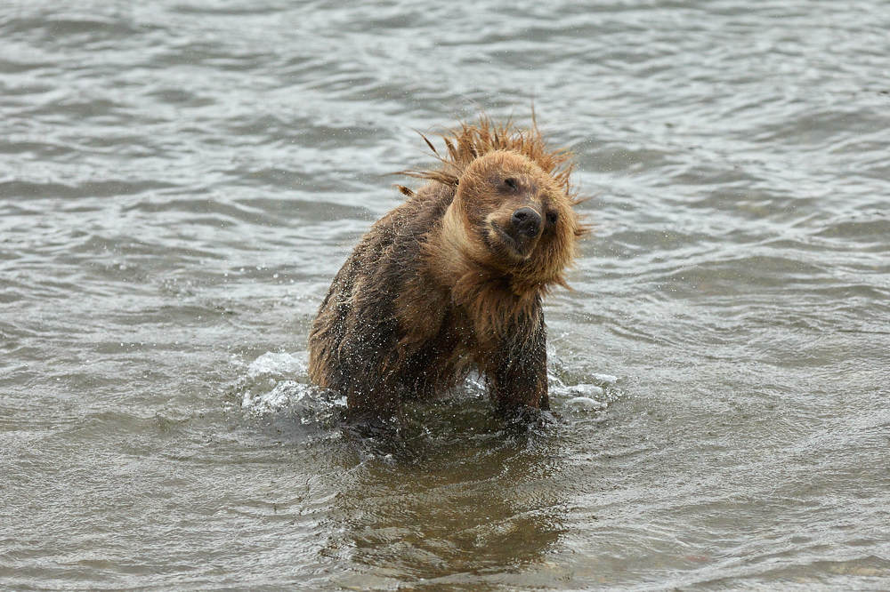 Фотография автора Mikhaylov Mikhail