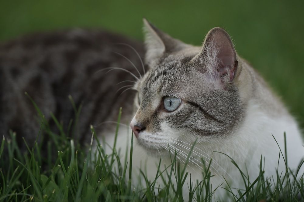 Photograph by Марина Аникина