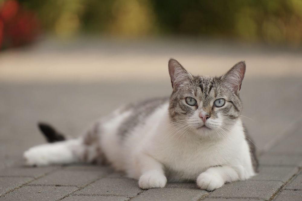 Photograph by Марина Аникина