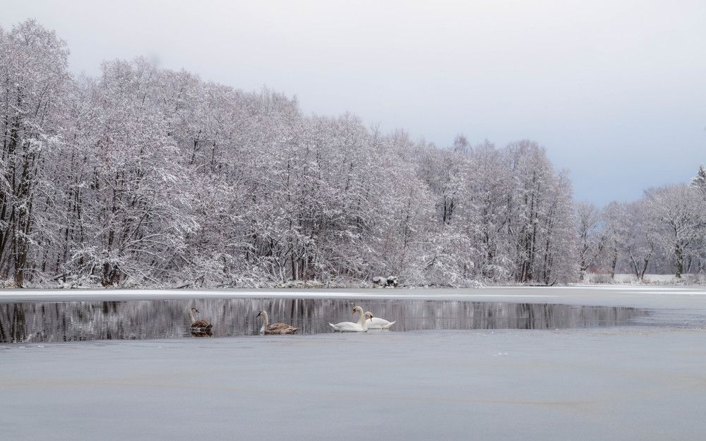 Photograph by Наталья Брюхненко