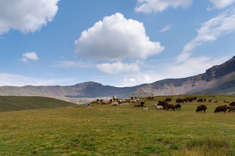 Photograph by Vahan Amatunyan