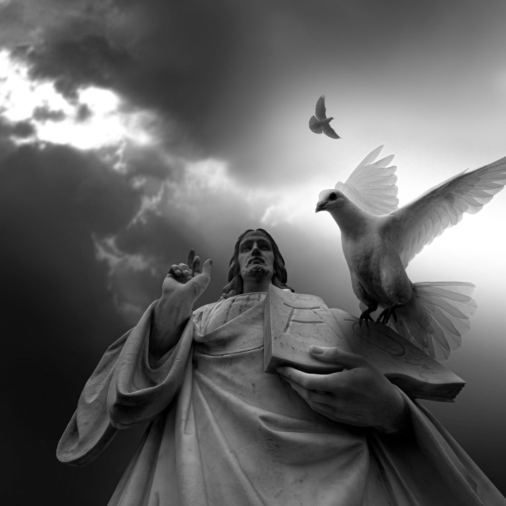 Photograph by marc stricklin