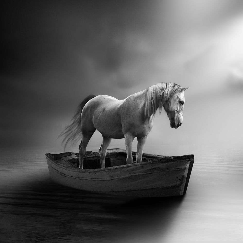 Photograph by marc stricklin