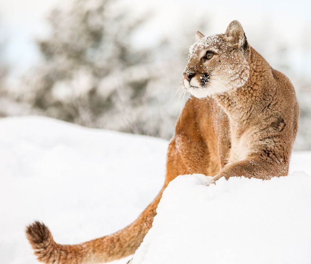 Photograph by Adeliene Lohman