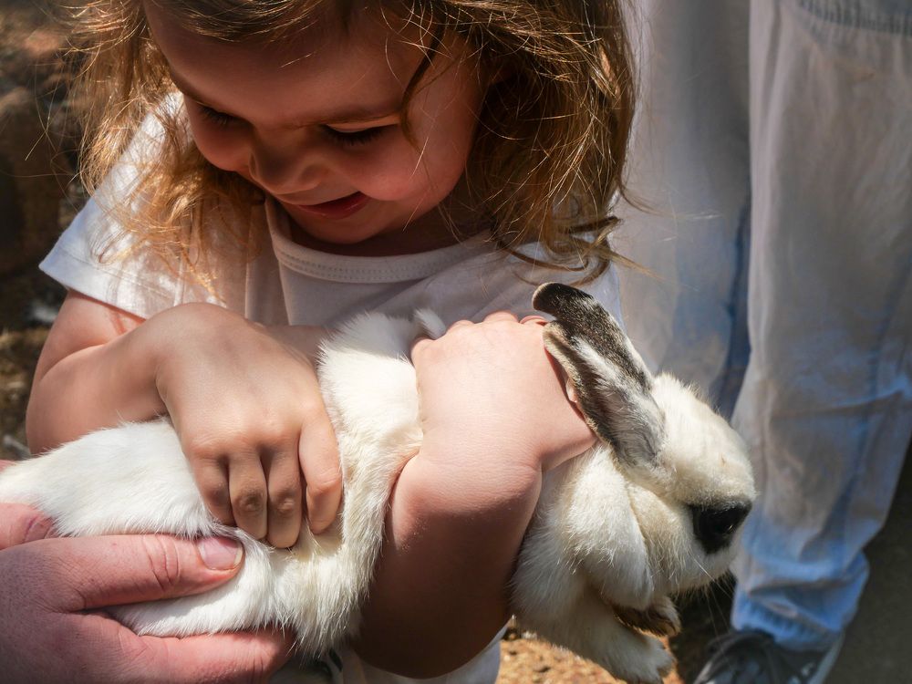 Photograph by Shannon