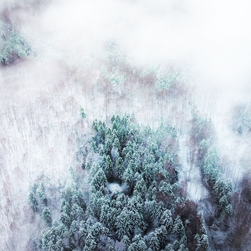 Photograph by Andrei Iliushenko