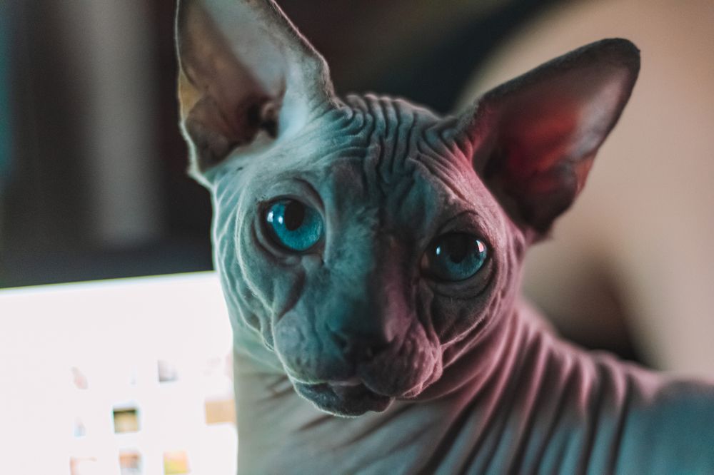 Photograph by Даниил Шиков