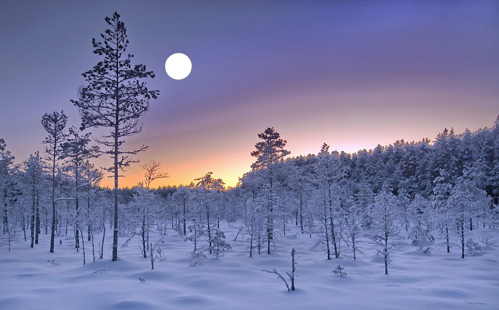 Photograph by Юрий Митенёв