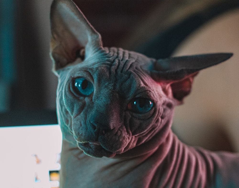 Photograph by Даниил Шиков