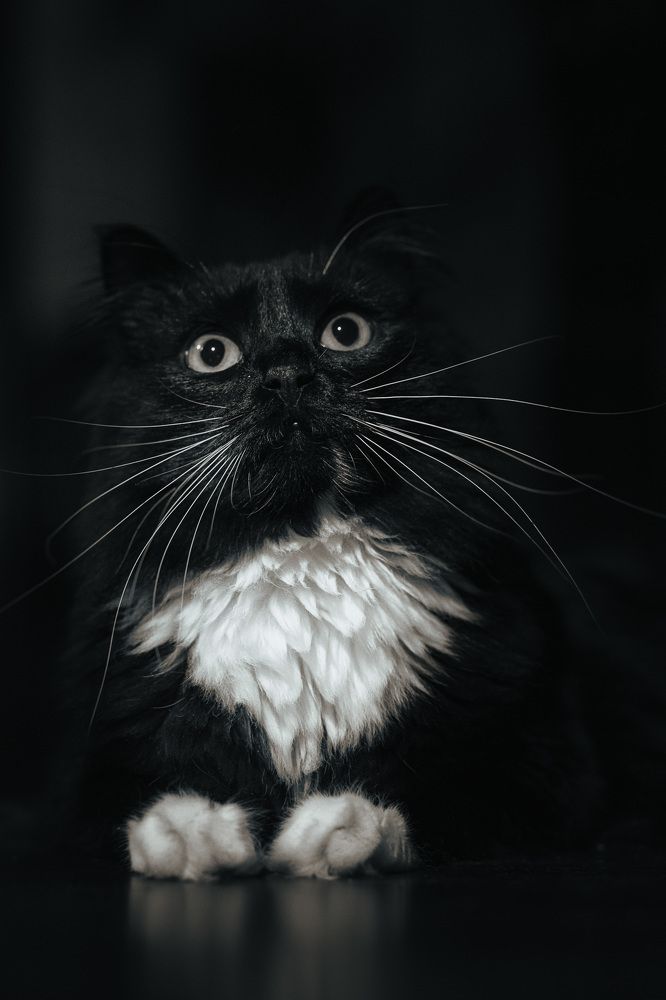 Photograph by Елена Сандалова