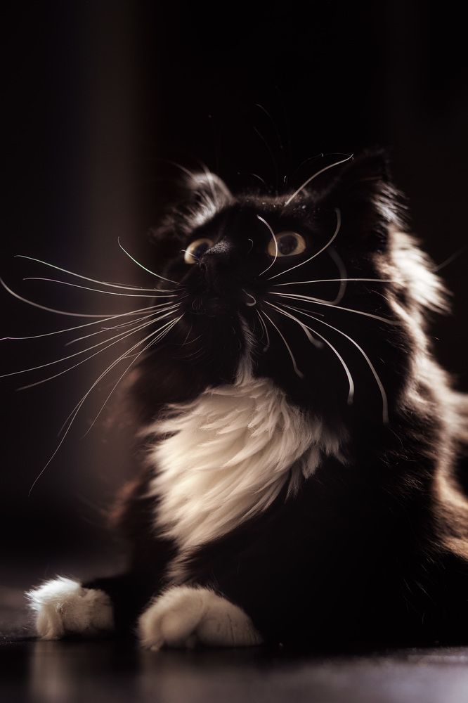 Photograph by Елена Сандалова