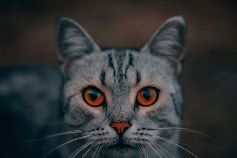 Photograph by Даниил Шиков