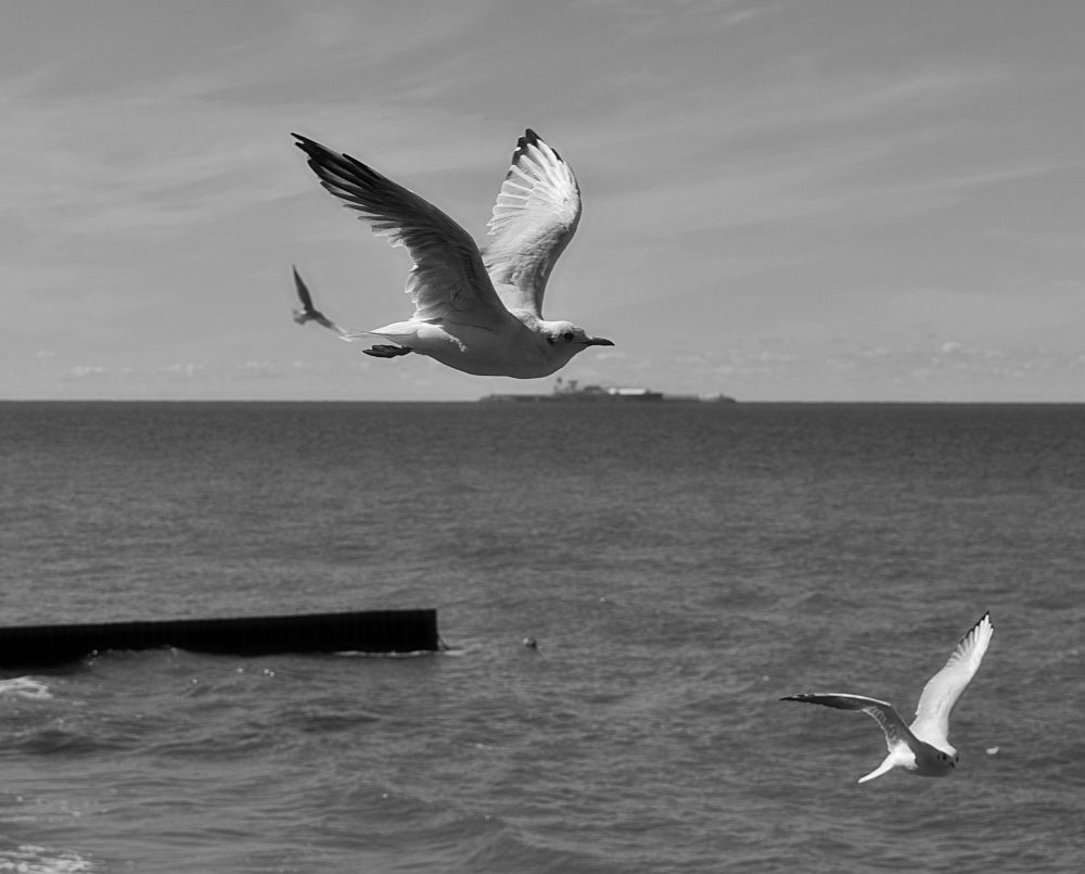 Летим со мной