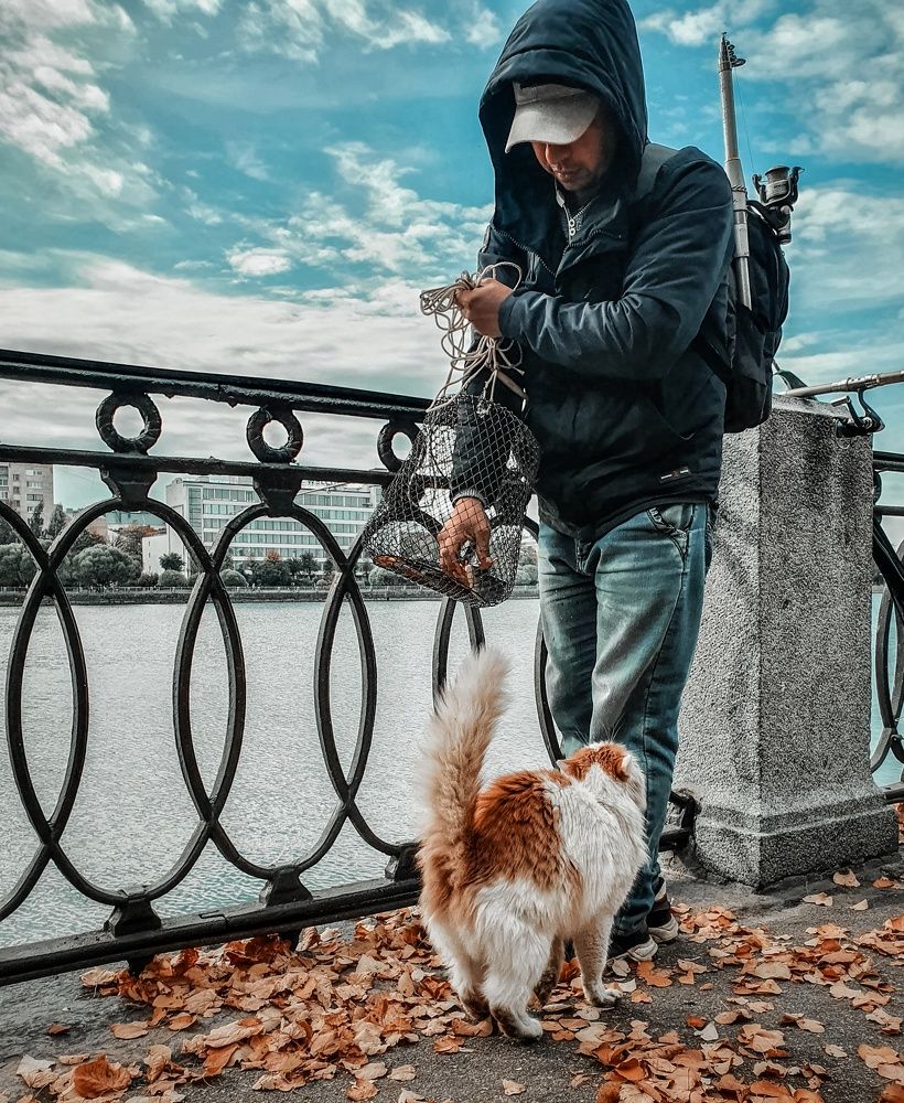 Photograph by Сергей Никифоров