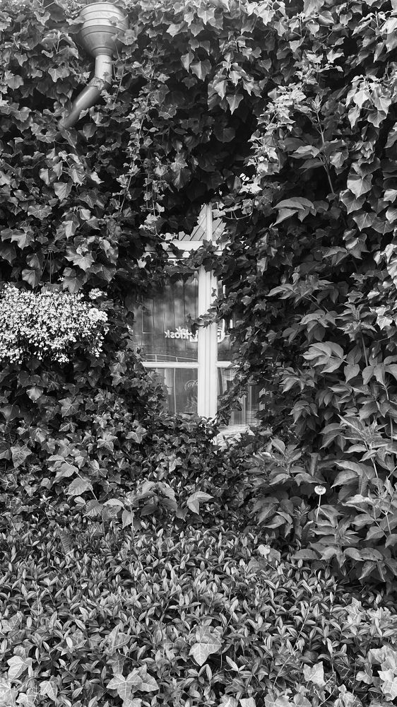 Photograph by Marina Bogretsova