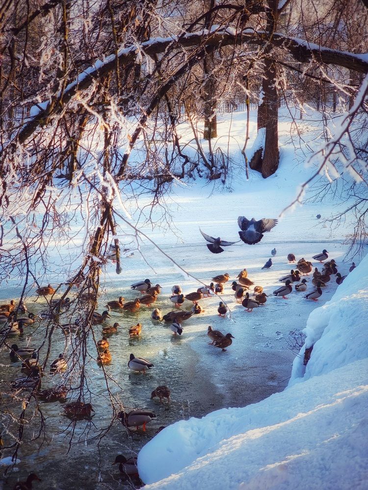 Photograph by Екатерина Цыбулькина