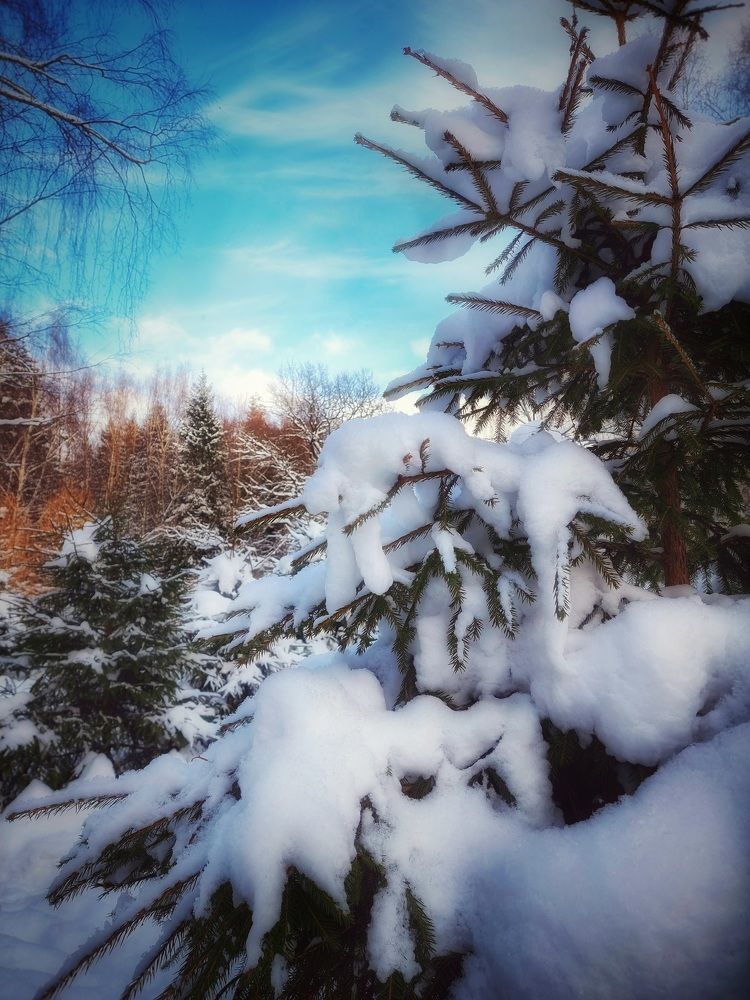 Photograph by Екатерина Цыбулькина