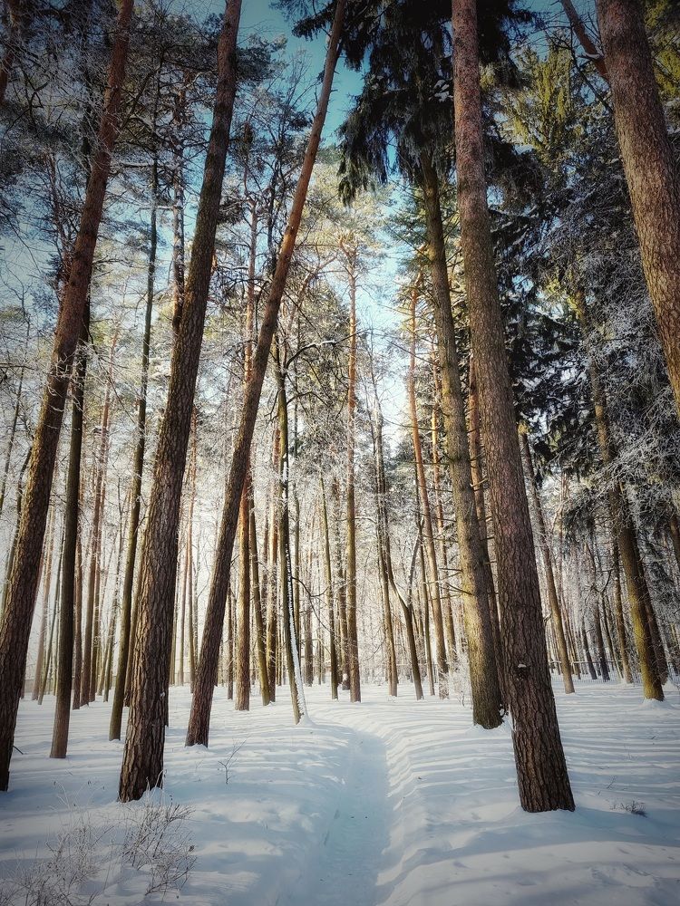 Photograph by Екатерина Цыбулькина