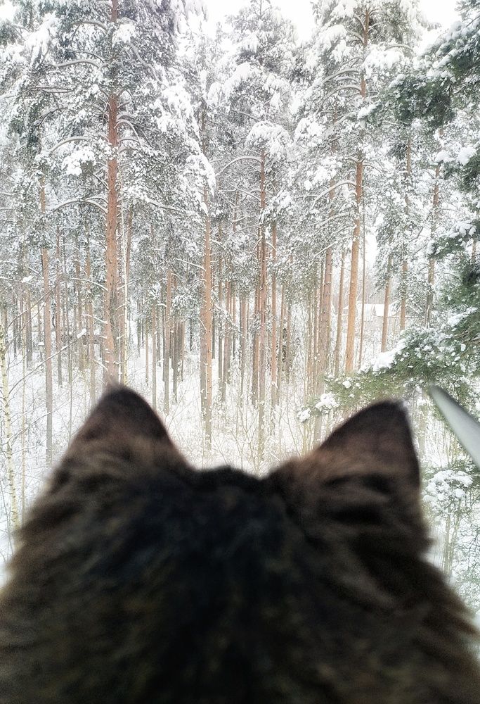 Photograph by Сергей Никифоров