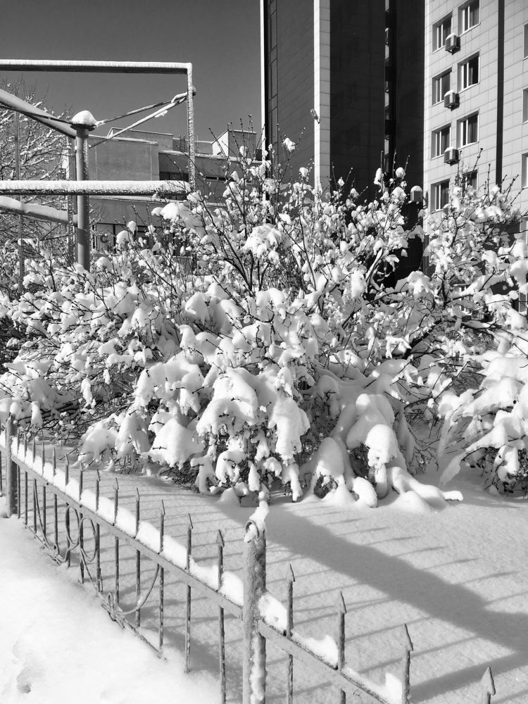 Photograph by Елена Макуха