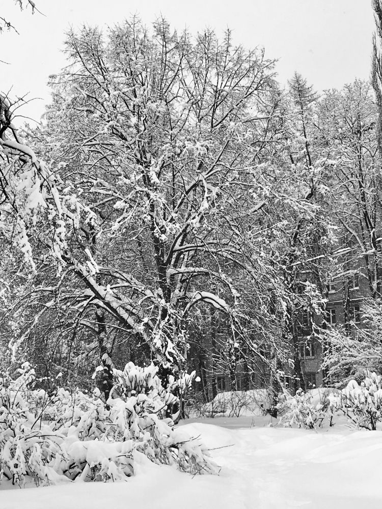 Photograph by Елена Макуха