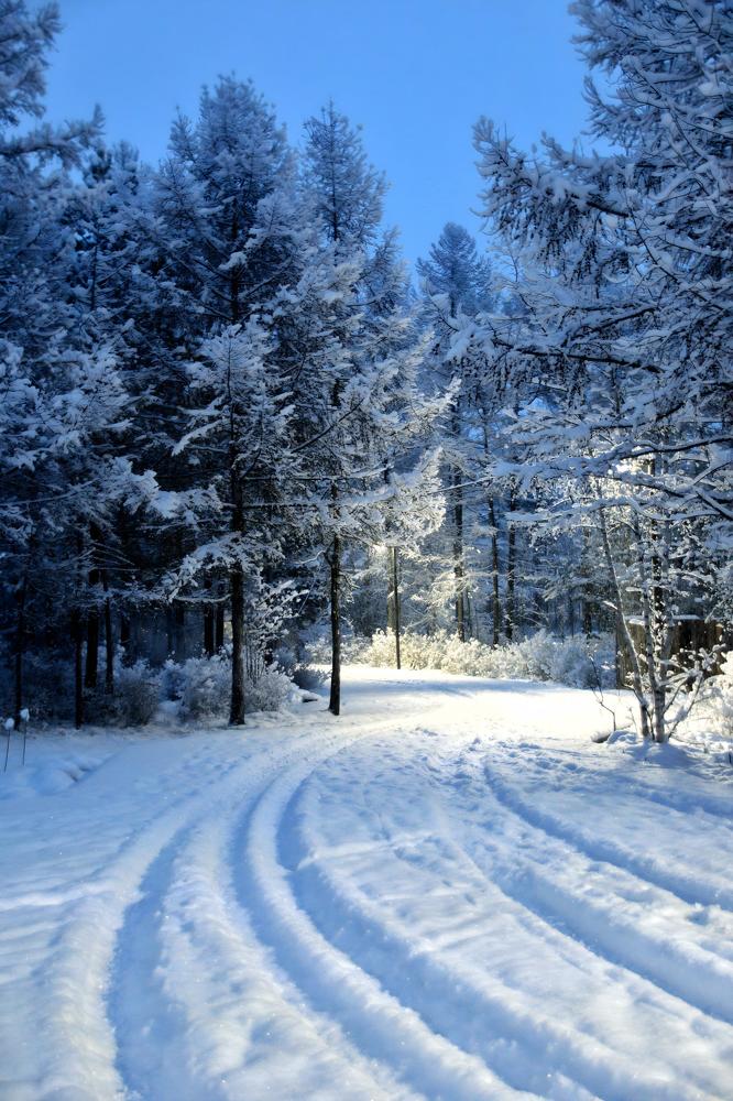 Photograph by Виктория Лобанова