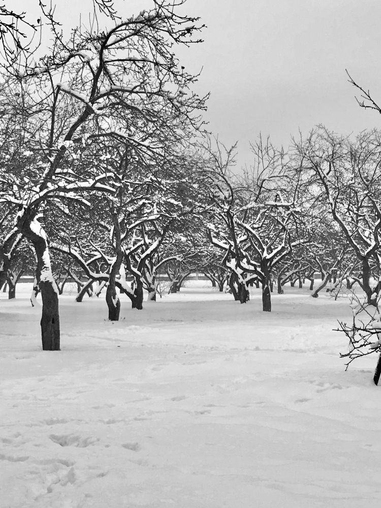 Photograph by Елена Макуха