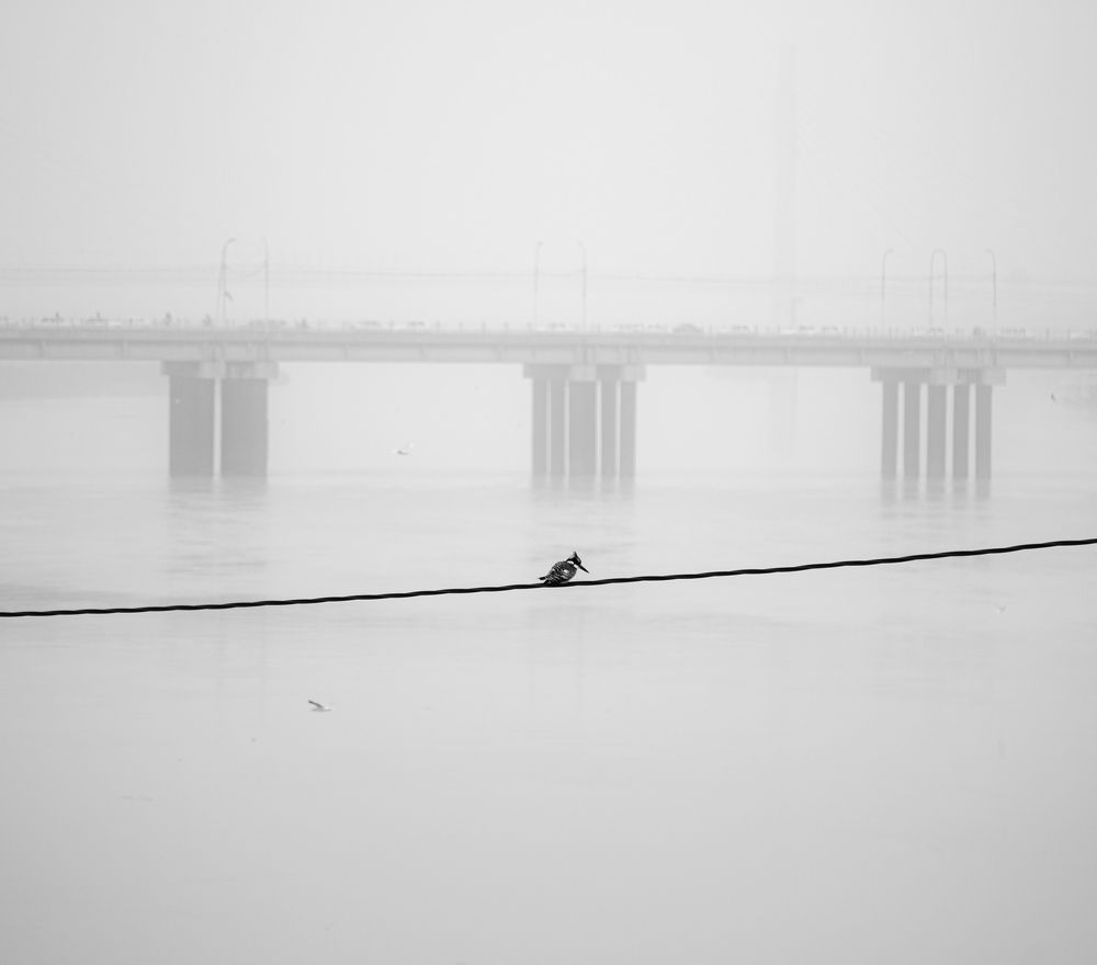 Photograph by Benyamin Heydari