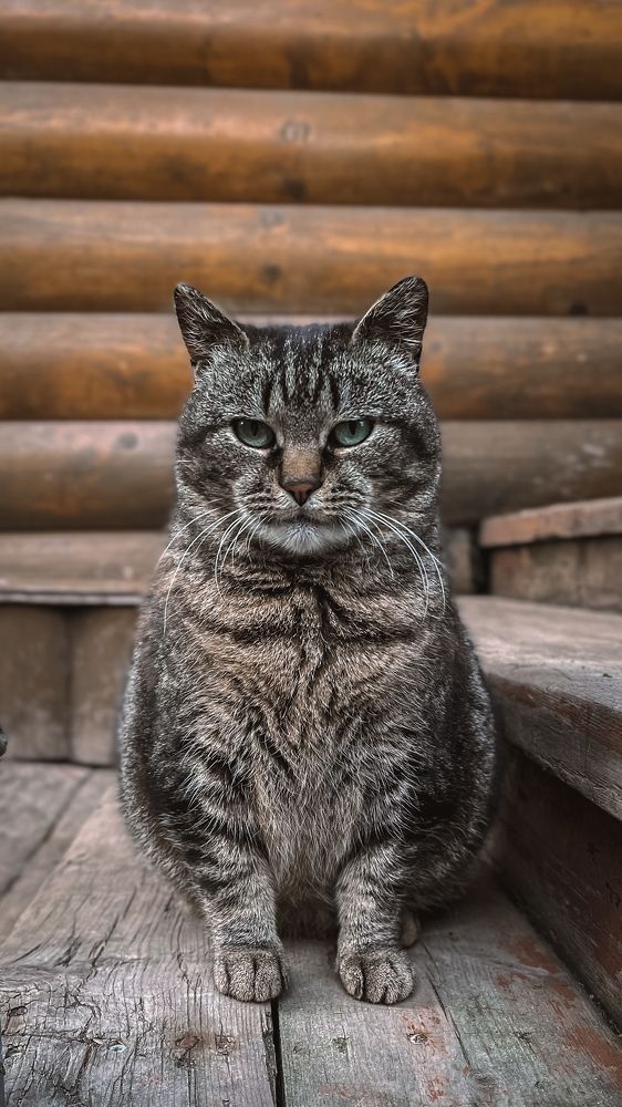 Photograph by Андрей Шашков