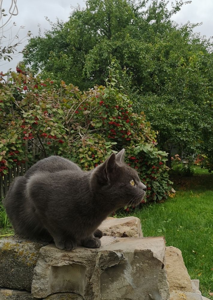 Photograph by Екатерина Борисовна Кузьмина