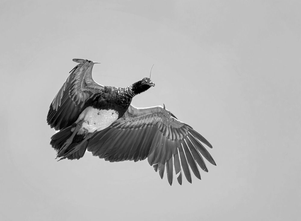 Фотография автора andrey gagarin