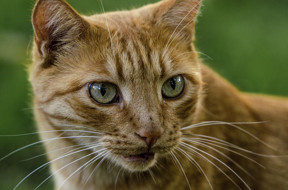 Photograph by Дмитрий