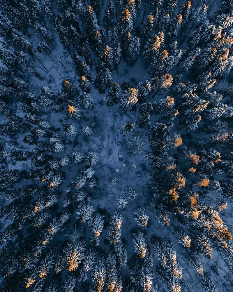 Photograph by Евгений Краснов